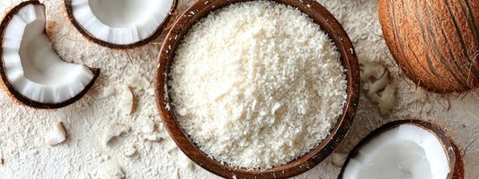 Best Electric Coconut Graters