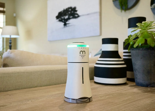 Salt Shaker Ever (Photo)